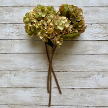 Load image into Gallery viewer, Green Hydrangea Stem
