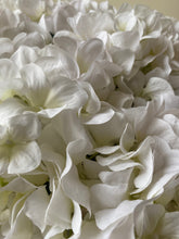 Load image into Gallery viewer, Eco White Hydrangea Stem - 69cm - Field & Rose