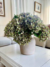 Load image into Gallery viewer, Green Hydrangea Stem - 47cm - Field & Rose
