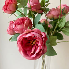 Load image into Gallery viewer, Coral Pink English Rose Stem - 70cm