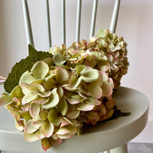 Load image into Gallery viewer, Green Hydrangea Stem