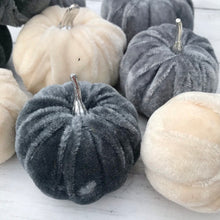 Load image into Gallery viewer, Bag of Velvet Pumpkins - Field & Rose