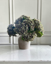 Load image into Gallery viewer, Green Hydrangea Stem - 47cm - Field & Rose
