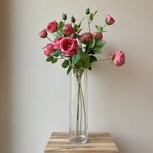 Load image into Gallery viewer, Coral Pink English Rose Stem - 70cm