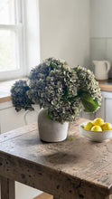 Load image into Gallery viewer, Green Hydrangea Stem - 47cm - Field & Rose