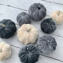 Load image into Gallery viewer, Bag of Velvet Pumpkins - Field & Rose