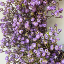 Load image into Gallery viewer, Purple Wildflower Wreath