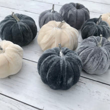 Load image into Gallery viewer, Bag of Velvet Pumpkins - Field & Rose