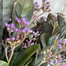 Load image into Gallery viewer, Purple Seeded Foliage Bunch