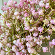 Load image into Gallery viewer, Pink Wildflower Wreath