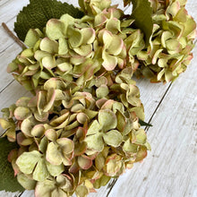 Load image into Gallery viewer, Green Hydrangea Stem