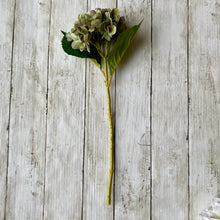 Load image into Gallery viewer, Green Hydrangea Stem - 47cm - Field & Rose