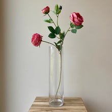 Load image into Gallery viewer, Coral Pink English Rose Stem - 70cm
