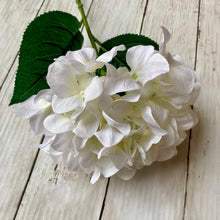 Load image into Gallery viewer, Eco White Hydrangea Stem - 69cm - Field & Rose
