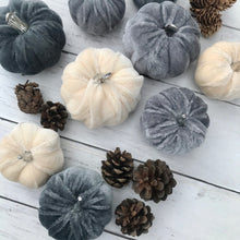 Load image into Gallery viewer, Bag of Velvet Pumpkins - Field & Rose