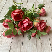Load image into Gallery viewer, Coral Pink English Rose Stem - 70cm