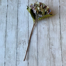 Load image into Gallery viewer, Lilac Hydrangea Stem - 46cm