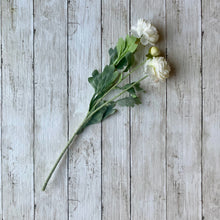 Load image into Gallery viewer, Ivory Ranunculus Stem - 50cm