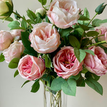 Load image into Gallery viewer, Blush Pink English Rose Stem - 70cm