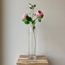 Load image into Gallery viewer, Blush Pink English Rose Stem - 70cm