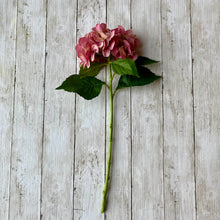 Load image into Gallery viewer, Pink Hydrangea Stem - 53cm