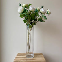 Load image into Gallery viewer, White English Rose Stem - 70cm