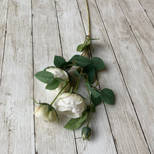 Load image into Gallery viewer, White English Rose Stem - 70cm