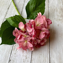 Load image into Gallery viewer, Field & Rose pink artificial hydrangea stem with green leaves, 53cm length, made of silk.