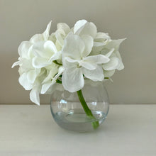 Load image into Gallery viewer, Bella Bloom - Field & Rose