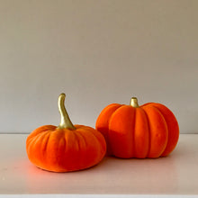 Load image into Gallery viewer, Set of 2 velvet Pumpkins - Field & Rose