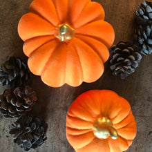 Load image into Gallery viewer, Set of 2 velvet Pumpkins - Field & Rose