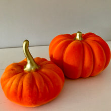 Load image into Gallery viewer, Set of 2 velvet Pumpkins - Field & Rose