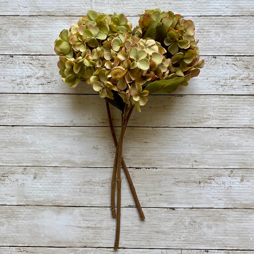 Green Hydrangea Stem