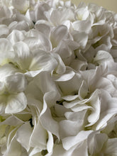 Load image into Gallery viewer, Eco White Hydrangea Stem - 69cm - Field &amp; Rose
