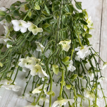 Load image into Gallery viewer, White Blossom Bush
