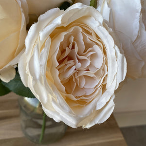 Cabbage Rose Bunch