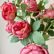 Load image into Gallery viewer, Coral Pink English Rose Stem - 70cm
