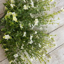 Load image into Gallery viewer, White Blossom Bush
