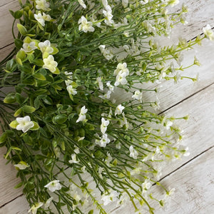 White Blossom Bush