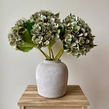 Load image into Gallery viewer, Green Hydrangea Stem - 47cm - Field &amp; Rose
