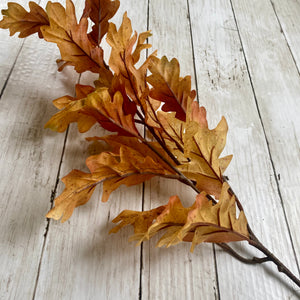 Autumn Oak Leaf Spray