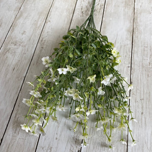 White Blossom Bush