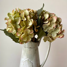 Load image into Gallery viewer, Green Hydrangea Stem
