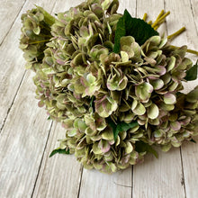 Load image into Gallery viewer, Green Hydrangea Stem - 47cm - Field &amp; Rose
