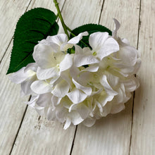 Load image into Gallery viewer, Eco White Hydrangea Stem - 69cm - Field &amp; Rose
