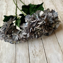 Load image into Gallery viewer, Eco Blue Hydrangea Stem - 60cm - Field &amp; Rose

