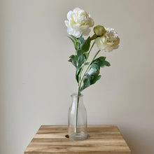 Load image into Gallery viewer, Ivory Ranunculus Stem - 50cm
