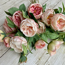 Load image into Gallery viewer, Blush Pink English Rose Stem - 70cm
