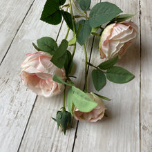 Load image into Gallery viewer, Blush Pink English Rose Stem - 70cm
