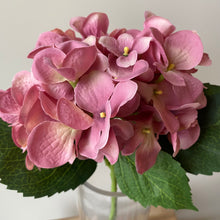 Load image into Gallery viewer, Pink Hydrangea Stem - 53cm
